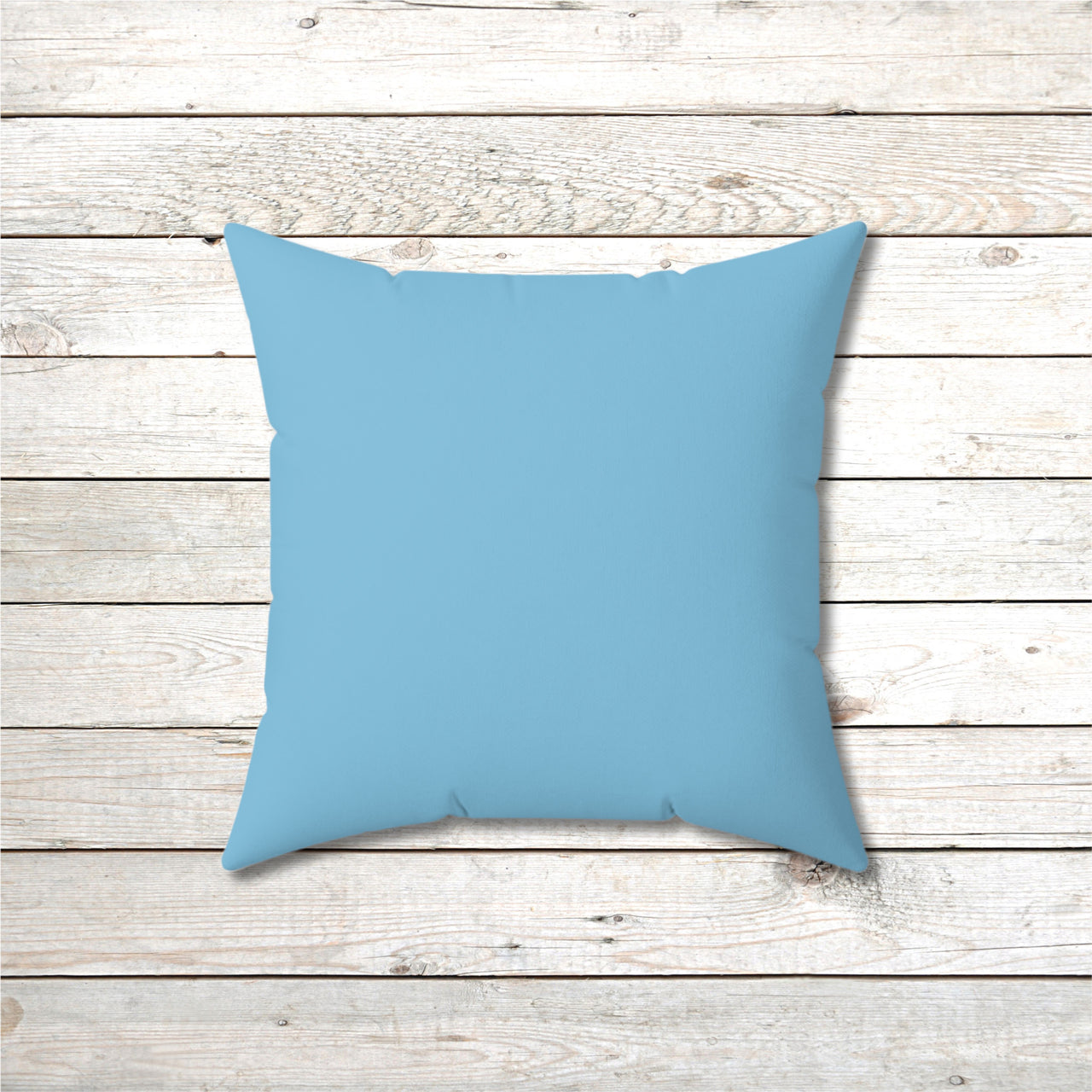 Reversible Throw Pillow, Walk on Water Man - Light Sea Blue Back