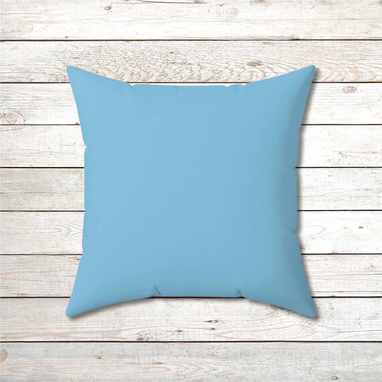 Reversible Throw Pillow, Walk on Water Man - Light Sea Blue Back