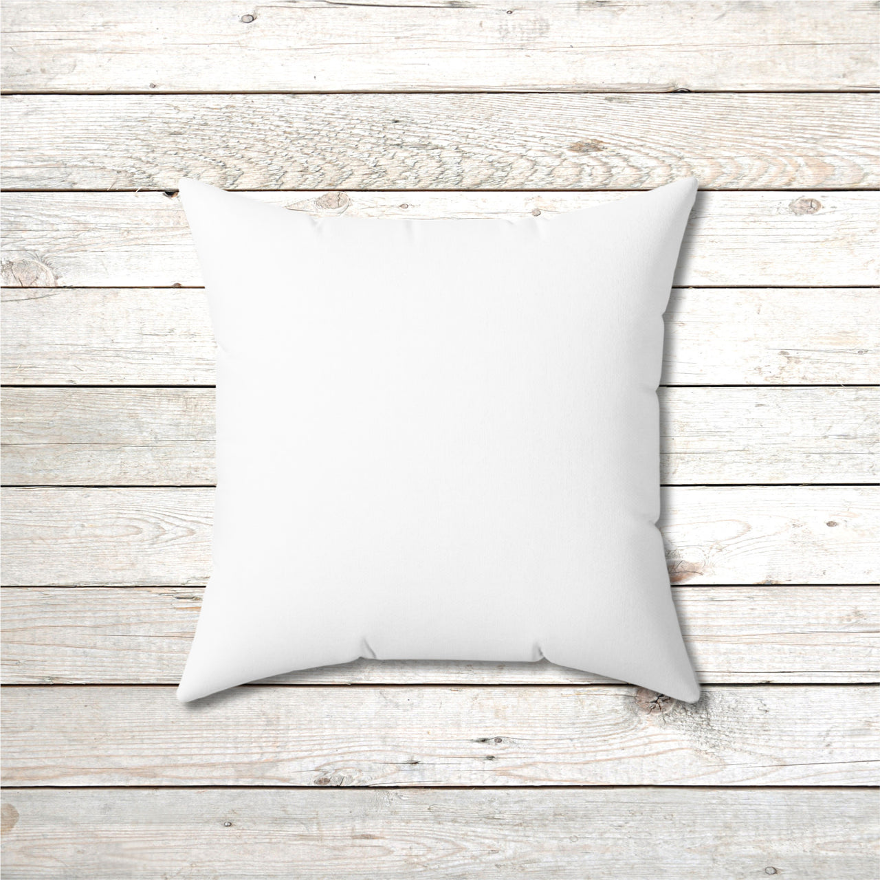 Reversible Throw Pillow, Walk on Water Family - White Back